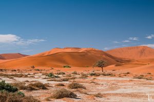 Mehr über den Artikel erfahren Roadtrip Namibia | Teil 2/3 – Vom Sossusvlei bis ins Erongo-Gebirge